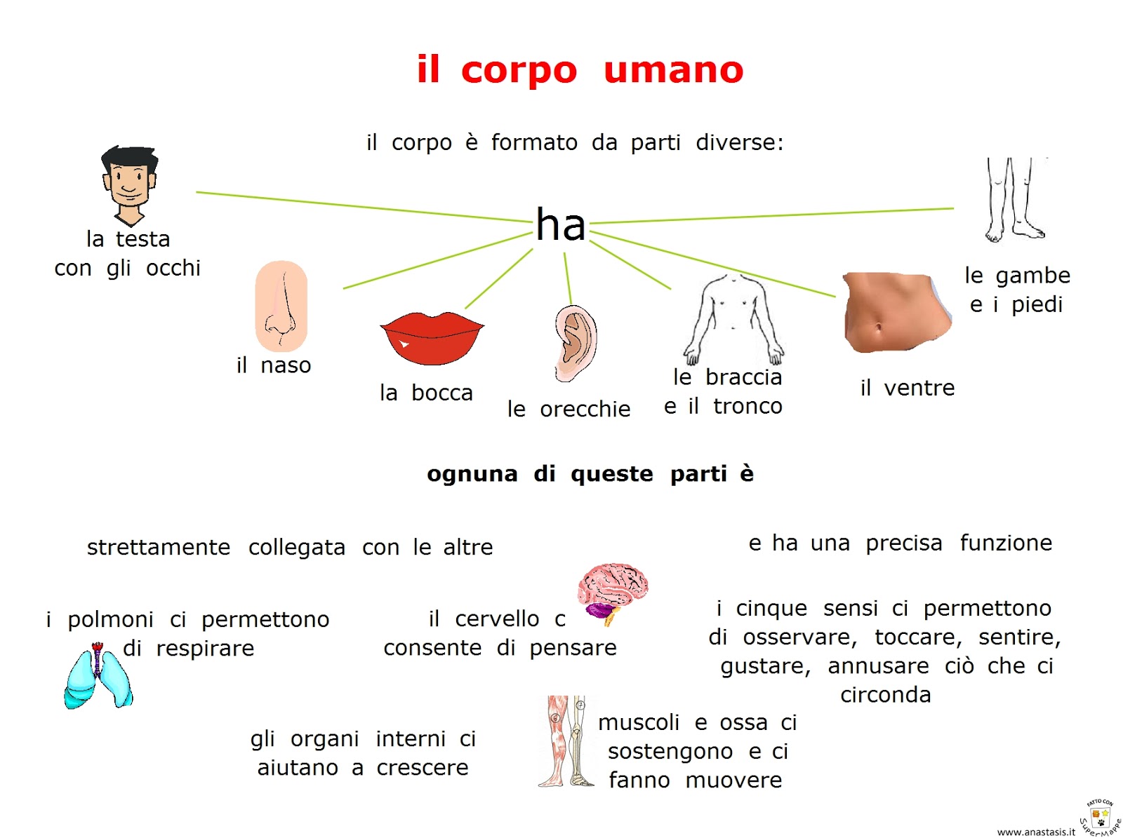 Il pigmentary nota su una gamba a gravidanza